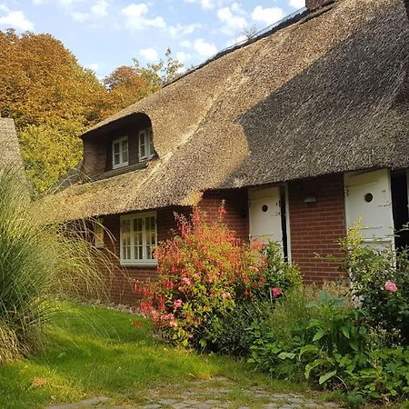 Ferienwohnung Friesenglueck In Syltnaehe! Braderup  Exterior foto