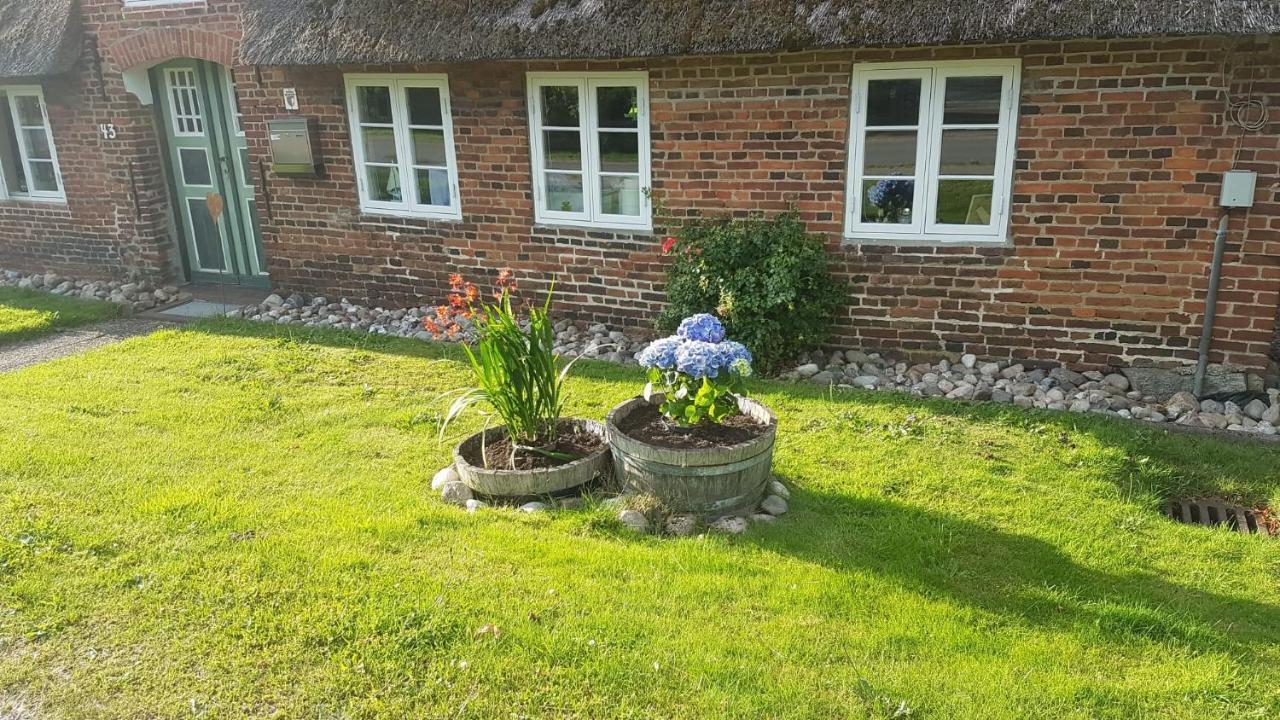 Ferienwohnung Friesenglueck In Syltnaehe! Braderup  Exterior foto